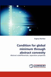 Condition for global minimum through abstract convexity, Sharikov Evgeny