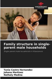 Family structure in single-parent male households, Castro Hernandez Tania