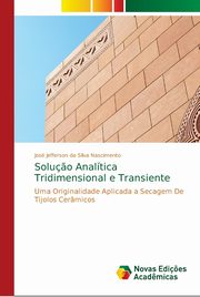 Solu?o Analtica Tridimensional e Transiente, Silva Nascimento Jos Jefferson da