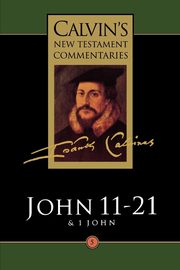 Gospel According to St John 11-21, Calvin John