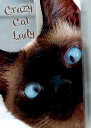 Crazy Cat Lady Notebook, Ainslie Vivienne