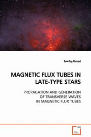 MAGNETIC FLUX TUBES IN LATE-TYPE STARS  PROPAGATION AND GENERATION OF TRANSVERSE WAVES IN MAGNETIC FLUX TUBES, Ahmed Towfiq