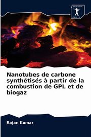 Nanotubes de carbone synthtiss ? partir de la combustion de GPL et de biogaz, Kumar Rajan