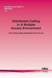 Distributed Coding in A Multiple Access Environment, Tang Yanru