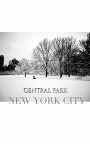 central park New York City Winter wonderland blank journal, Huhn Sir Michael