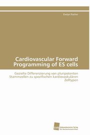 Cardiovascular Forward Programming of ES cells, Fischer Evelyn