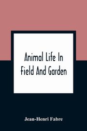 Animal Life In Field And Garden, Fabre Jean-Henri