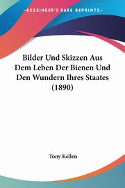 Bilder Und Skizzen Aus Dem Leben Der Bienen Und Den Wundern Ihres Staates (1890), Kellen Tony