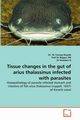 Tissue changes in the gut of arius thalassinus infected with parasites, Haseeb Dr. M. Farooq