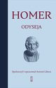 Odyseja, Homer