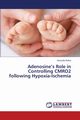 Adenosine's Role in Controlling Cmro2 Following Hypoxia-Ischemia, Ridha Mustafa
