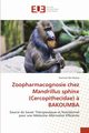 Zoopharmacognosie chez Mandrillus sphinx (Cercopithecidae) ? BAKOUMBA, Nsi Akoue Gontran