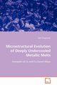 Microstructural Evolution of Deeply Undercooled Metallic Melts, Dragnevski Kalin