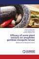 Efficacy of some plant extracts on anopheles gambiae mosquito larvae, Aina Sulaimon Adebisi