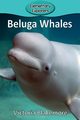 Beluga Whales, Blakemore Victoria