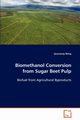 Biomethanol Conversion from Sugar Beet Pulp, Wang Quanzeng