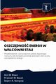 OSZCZDNO ENERGII W WALCOWNI STALI, Bisen Anil M.