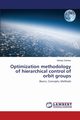 Optimization methodology of hierarchical control of orbit groups, Sokolov Nikolay