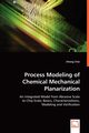 Process Modeling of Chemical Mechanical Planarization, Choi Jihong