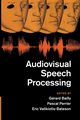Audiovisual Speech Processing, 