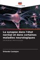 La synapse dans l'tat normal et dans certaines maladies neurologiques, Castejon Orlando