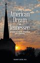 American Dream in Tennessee, Sethi Manny