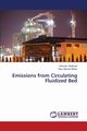 Emissions from Circulating Fluidized Bed, Shahzad Khurram