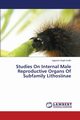 Studies On Internal Male Reproductive Organs Of Subfamily Lithosiinae, Sodhi Jagpreet Singh