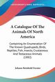 A Catalogue Of The Animals Of North America, Forster Johann Reinhold
