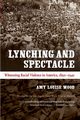 Lynching and Spectacle, Wood Amy Louise