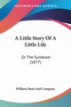 A Little Story Of A Little Life, William Hunt And Company