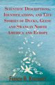 Scientific Descriptions, Identifications, and Life Stories of Ducks, Geese and Swans in North America and Europe, Kortright Francis H.