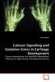 Calcium Signalling and Oxidative Stress in Cartilage Development, Matta Csaba