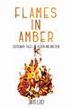 Flames in Amber, Luo Jiayi