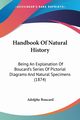 Handbook Of Natural History, Boucard Adolphe