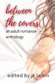 between the covers - an adult romance, 