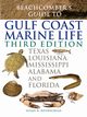 Beachcomber's Guide to Gulf Coast Marine Life, Rothschild Susan B.