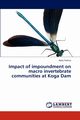 Impact of Impoundment on Macro Invertebrate Communities at Koga Dam, Teshita Abile