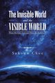 The Invisible World and the Visible World, Choe Sukoun