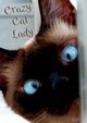 Crazy Cat Lady Notebook, Ainslie Vivienne