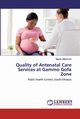 Quality of Antenatal Care Services at Gammo Gofa Zone, Mekonnen Niguse