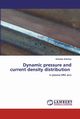 Dynamic pressure and current density distribution, Antoniou Antonios