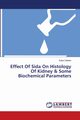 Effect Of Sida On Histology Of Kidney & Some Biochemical Parameters, Obeten Kebe