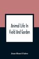 Animal Life In Field And Garden, Fabre Jean-Henri
