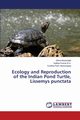 Ecology and Reproduction of the Indian Pond Turtle, Lissemys punctata, Basavaiah Shiva