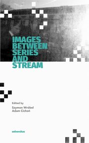 ksiazka tytu: Images Between Series and Stream autor: Szymon Wrbel, Adam Cicho
