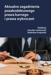 Aktualne zagadnienia pozakodeksowego prawa karnego i prawa wykrocze, Jarosaw Janikowski, Radosaw Krajewski
