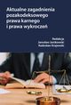 Aktualne zagadnienia pozakodeksowego prawa karnego i prawa wykrocze, Jarosaw Janikowski, Radosaw Krajewski