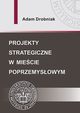Projekty strategiczne w miecie poprzemysowym, Adam Drobniak